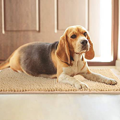 Delxo Chenille Door mat, 24"X 36" Extra Soft and Absorbent Mat ,Machine Wash and Dry Able,Low-Profile Rug Doormats Pet Mat for Entry, Front Door,Back Door,Entrance,Mud Room , High Traffic Areas,Beige - delxousa