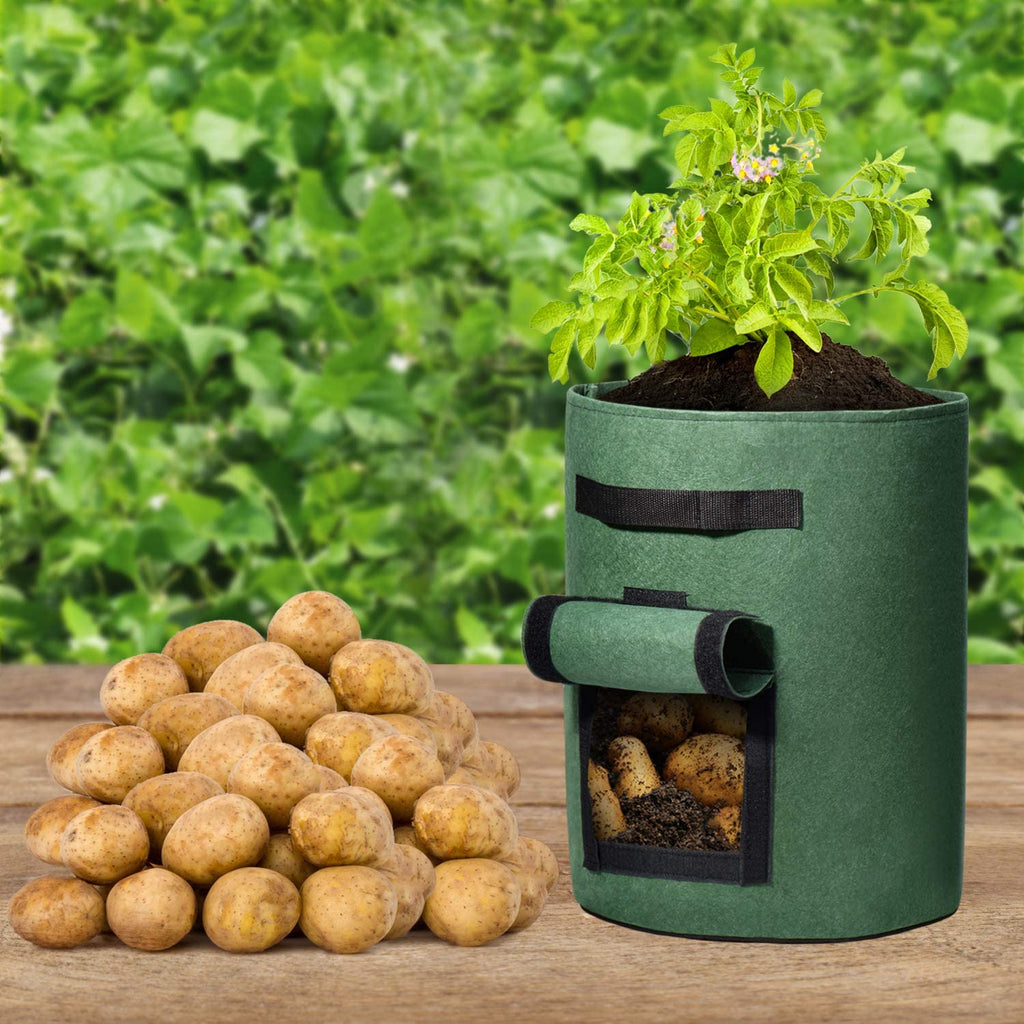 What is the role of potato planting bags? Why use potatoes to grow bags?