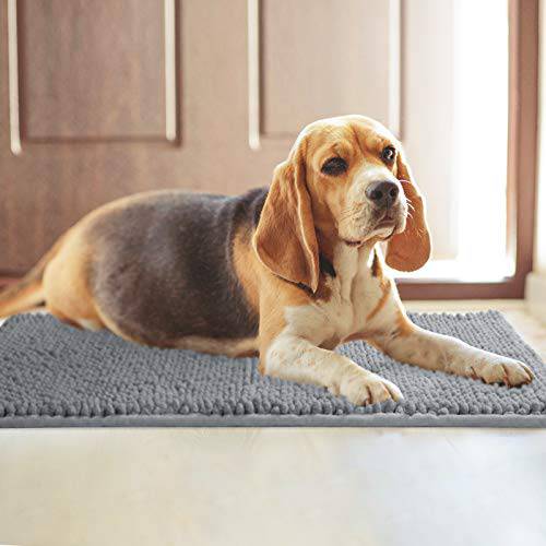 Delxo Indoor Durable Chenille Door mat 17X30 Extra Soft and Absorben