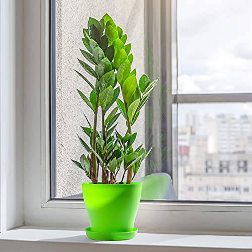 Delxo 8 Pcs 5.5" Plastic Plants Nursery Pots Reusable Plant Seeding Nursery Pot ，Colorful Flower Plant Container Seed Starting Pots with Pallet,8 Colors - delxousa