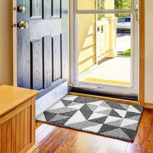 Delxo Indoor Door Mat,32”x48” Non Slip Absorbent Dirt Door Rugs for En