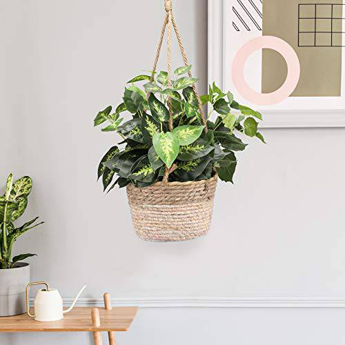 Delxo Hanging Planters Indoor and Outdoor, Natural Seagrass Hand Woven Wall Hanging Pots, Decor Hanging Basket for Plants Great for Garden Office Home Porch Balcony (8 Inch) - delxousa