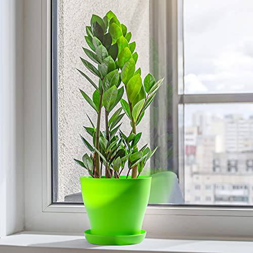 Delxo 8 Pcs 7" Plastic Plants Nursery Pots Reusable Plant Seeding Nursery Pot ，Colorful Flower Plant Container Seed Starting Pots with Pallet,8 Colors - delxousa