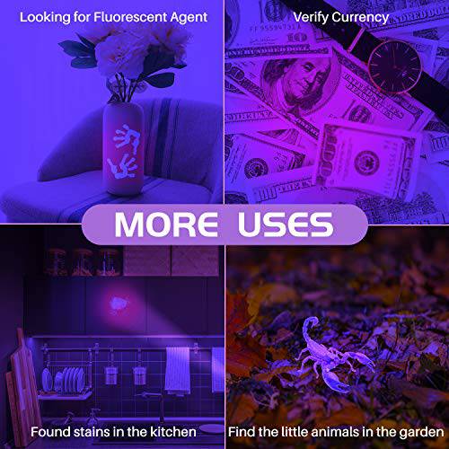 2 Pack UV Flashlight, Delxo 21 LED Black light Flashlite 395nm Detector for Dog Pet Urine Stains Bed Bugs and Scorpions,Authenticate Currghtency,Detection Lis of Fluorescent Agent - delxousa