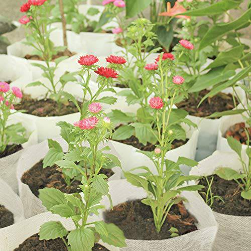 Delxo 400Pcs 4 Size Biodegradable Non-Woven Nursery Bags Plant Grow Bags Fabric Seedling Bags Home Garden Supply - delxousa