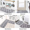 Delxo Kitchen Rugs and Mats Set,2 Pcs Super Absorbent Non Skid Washable Kitchen Floor Mat,Grey Carpet for Kitchen, Bathroom, Sink,Laundry,Mud 17"x24"+17"x48" - delxousa