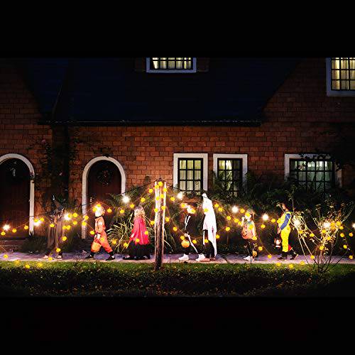Delxo Halloween Decorations String Lights, 20 LED Pumpkin String Lights 9.8 Feet for Halloween Party Outdoor & Indoor, Battery Powered 2 Modes Steady/Flickering Lights Waterproof Decorate Pumpkin - delxousa