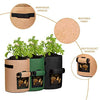 Delxo 3 Pack 10 Gallon Potato Grow Bags,Vegetable 10Gallons Grow Bags with Velcro Window , Double Layer Premium Breathable Nonwoven Cloth for Potato/Plant Container/Aeration Fabric Pots with Handles - delxousa