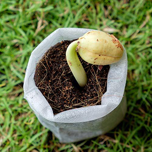 Delxo 400Pcs 4 Size Biodegradable Non-Woven Nursery Bags Plant Grow Bags Fabric Seedling Bags Home Garden Supply - delxousa