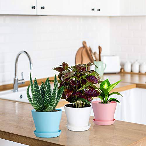 Delxo 8 Pcs 4" Plastic Plants Nursery Pots Reusable Plant Seeding Nursery Pot ，Colorful Flower Plant Container Seed Starting Pots with Pallet,8 Colors - delxousa