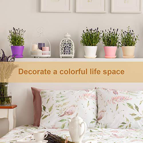 Delxo 8 Pcs 4" Plastic Plants Nursery Pots Reusable Plant Seeding Nursery Pot ，Colorful Flower Plant Container Seed Starting Pots with Pallet,8 Colors - delxousa