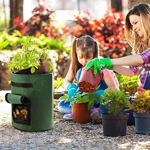 Delxo 3 Pack 10 Gallon Potato Grow Bags, 10Gallon Grow Bag with Velcro Window , Double Layer Premium Breathable Nonwoven Cloth for Potato/Plant Container/Aeration Fabric Pots with Handles（Green） - delxousa